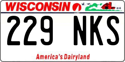WI license plate 229NKS