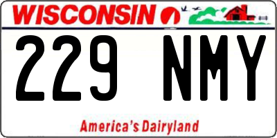 WI license plate 229NMY