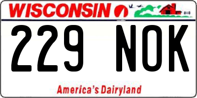 WI license plate 229NOK