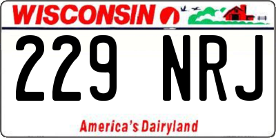 WI license plate 229NRJ