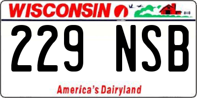WI license plate 229NSB