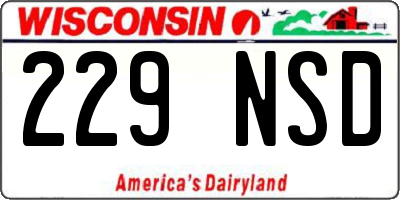 WI license plate 229NSD
