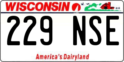 WI license plate 229NSE