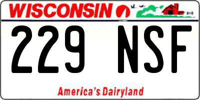 WI license plate 229NSF