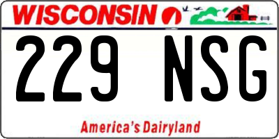 WI license plate 229NSG