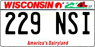 WI license plate 229NSI