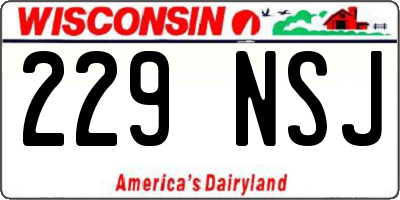 WI license plate 229NSJ