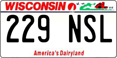 WI license plate 229NSL