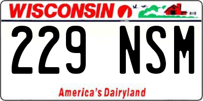 WI license plate 229NSM