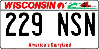 WI license plate 229NSN