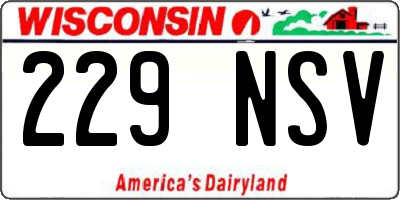 WI license plate 229NSV