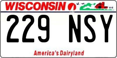 WI license plate 229NSY