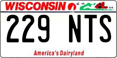 WI license plate 229NTS