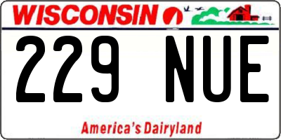 WI license plate 229NUE