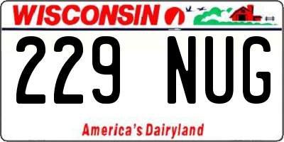 WI license plate 229NUG
