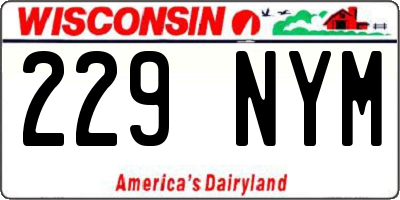 WI license plate 229NYM