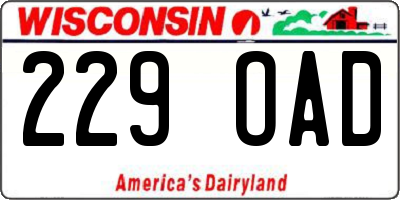 WI license plate 229OAD