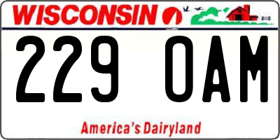 WI license plate 229OAM
