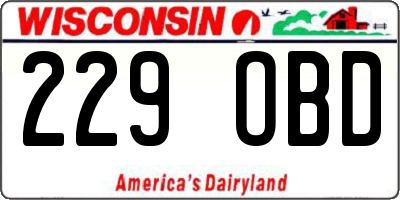 WI license plate 229OBD