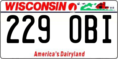 WI license plate 229OBI