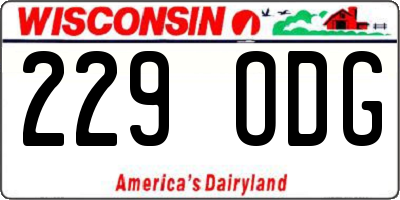 WI license plate 229ODG