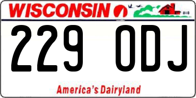WI license plate 229ODJ