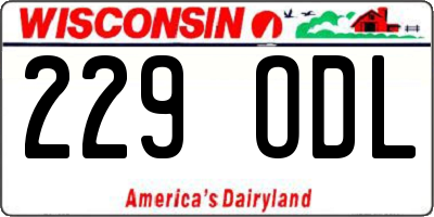 WI license plate 229ODL