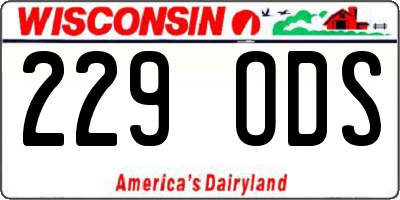 WI license plate 229ODS
