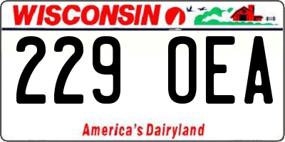 WI license plate 229OEA