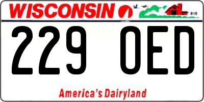 WI license plate 229OED