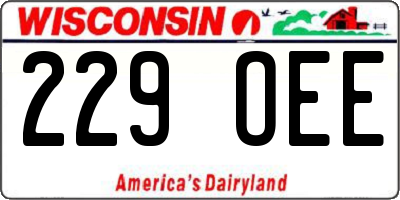 WI license plate 229OEE