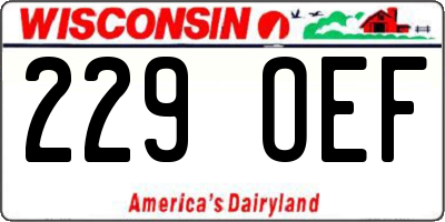 WI license plate 229OEF