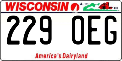 WI license plate 229OEG
