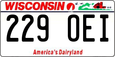 WI license plate 229OEI