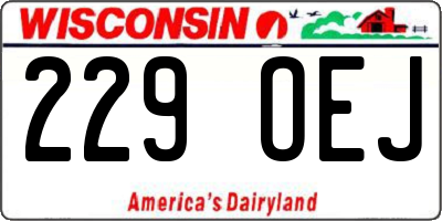 WI license plate 229OEJ