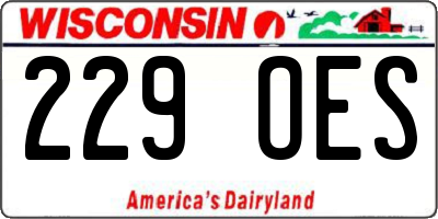 WI license plate 229OES