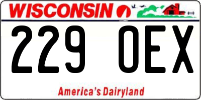 WI license plate 229OEX