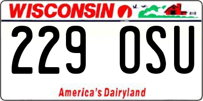 WI license plate 229OSU