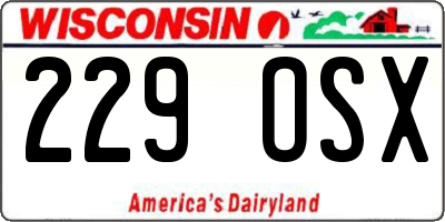 WI license plate 229OSX