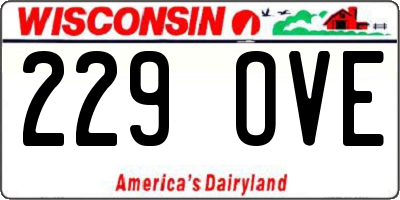 WI license plate 229OVE