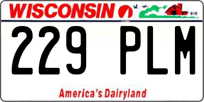 WI license plate 229PLM