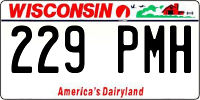WI license plate 229PMH