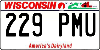 WI license plate 229PMU