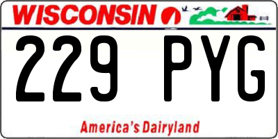 WI license plate 229PYG