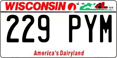 WI license plate 229PYM