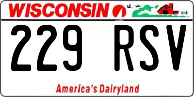 WI license plate 229RSV