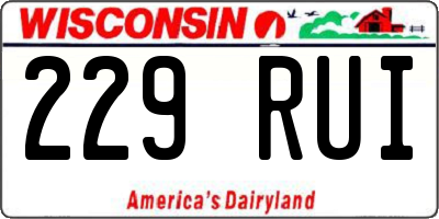 WI license plate 229RUI