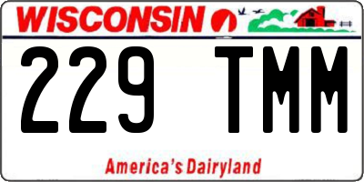 WI license plate 229TMM
