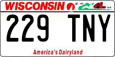 WI license plate 229TNY