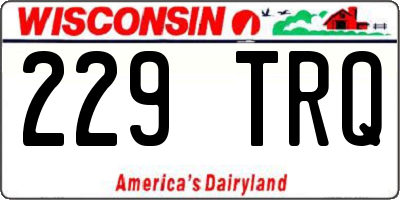 WI license plate 229TRQ